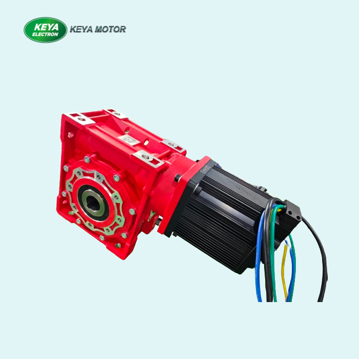 worm gear motor (1) worm gear motor (1)
