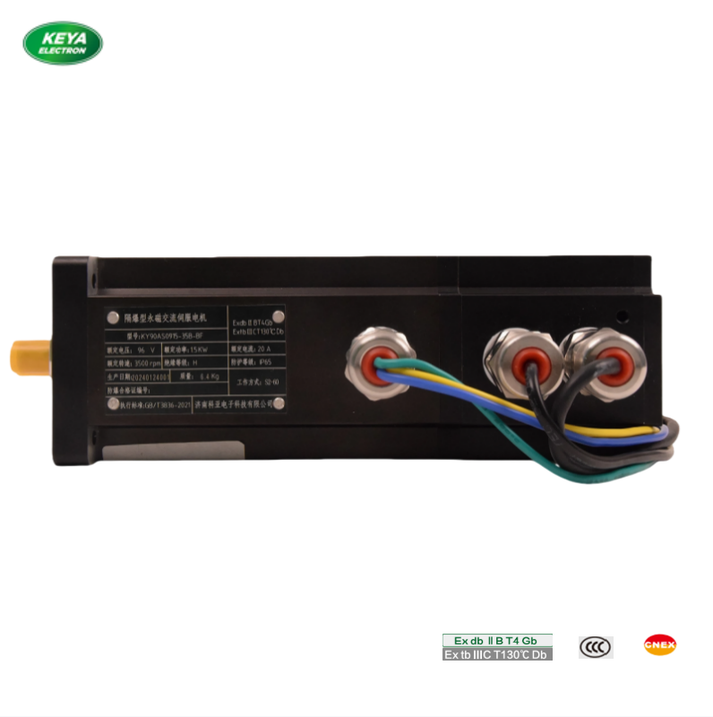 Explosion-Resistant DC Servo Motor