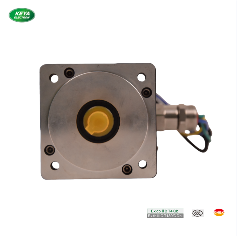 Explosion-Resistant DC Servo Motor