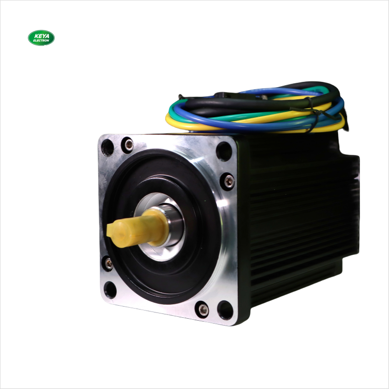 DC48V 110mm flange High torque bldc motor 1000w price