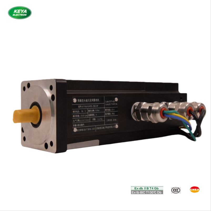 Explosion-Resistant DC Servo Motor